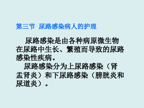 最新版尿路感染病人的护理 
