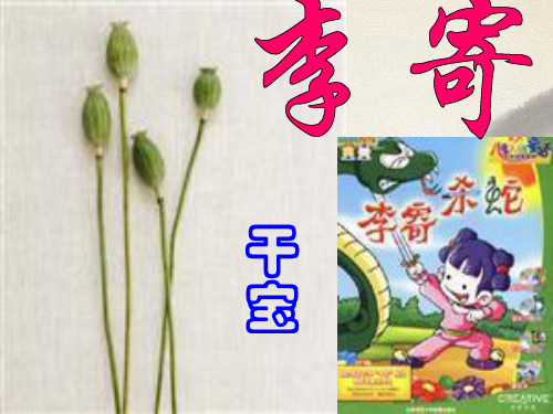 李寄ppt7 鲁教版