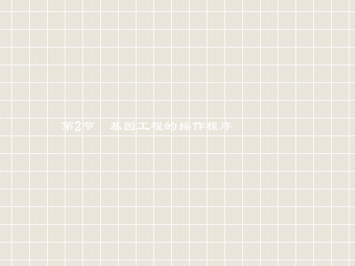 高中生物 第4章 基因工程 4.2 基因工程的操作程序 北师大版选修3