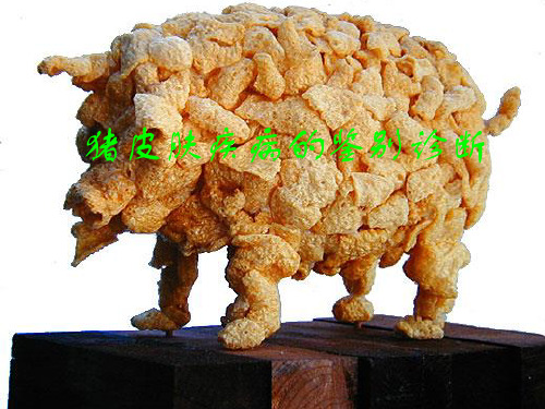 猪皮肤疾病的鉴别诊疗