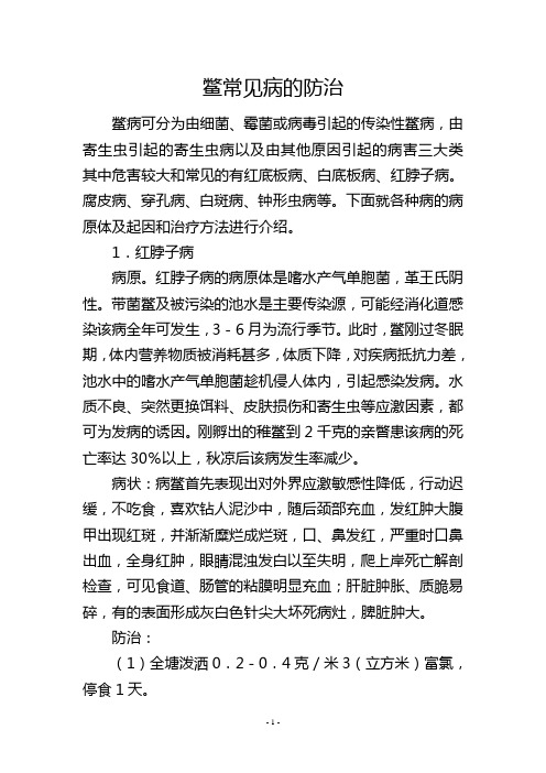 鳖常见病的防治