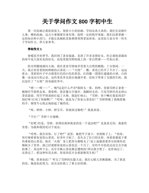 关于学问作文800字初中生