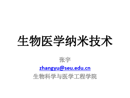 引子中国纳米科技的成就资料.