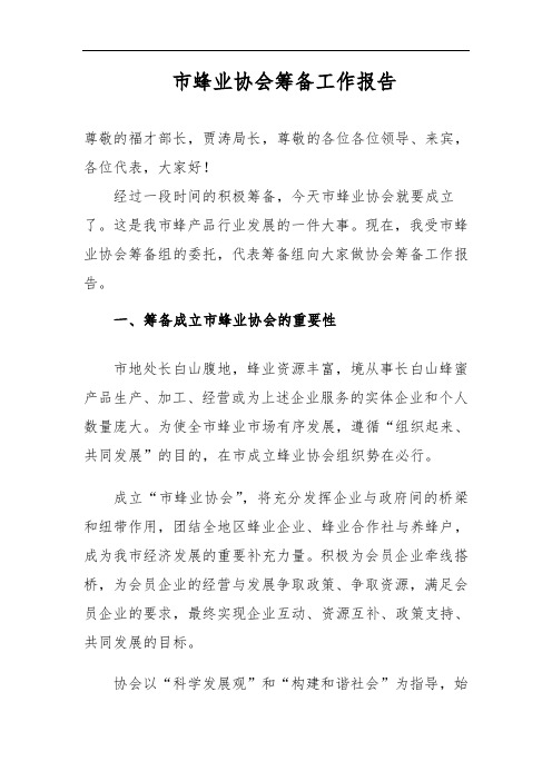 协会筹备工作报告-3