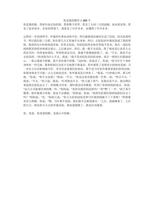 你是我的眼作文800字