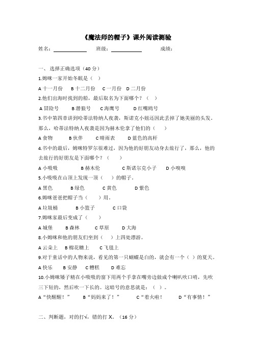 魔法师的帽子阅读检测卷