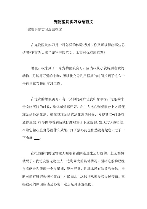 宠物医院实习总结范文