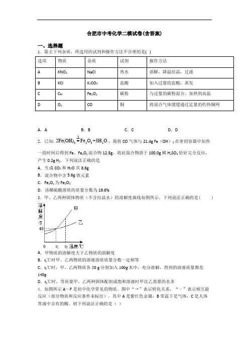 合肥市中考化学二模试卷(含答案)