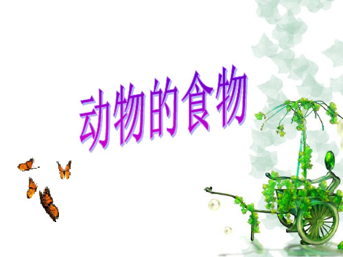五年级上册科学课件-1.5动物的食物｜冀教版共20张PPT