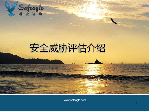 威胁评估介绍PPT课件