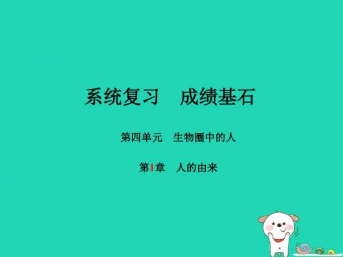 2018年中考生物第一部分系统复习第4单元第1章人的由来课件