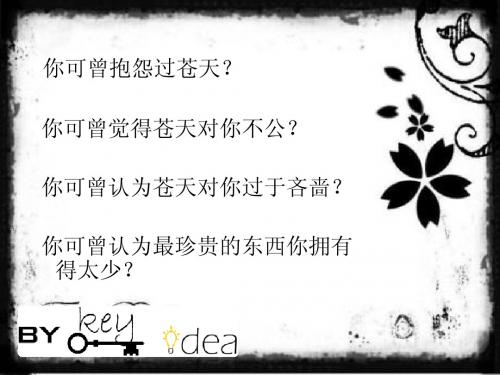 《在这个世界上,最珍贵的东西都是免费的》
