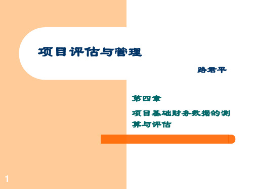 项目评估与管理  第四章