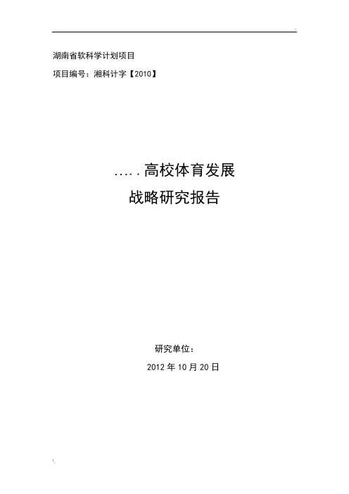 软科技课题研究报告...