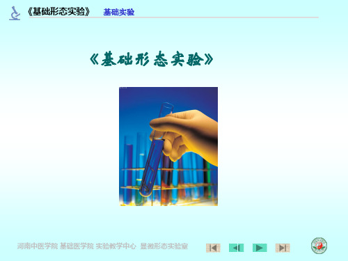 PowerPoint 演示文稿 - 河南中医学院(5).ppt