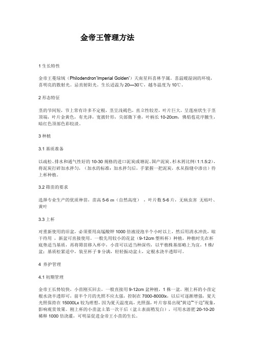金帝王万年青技术资料