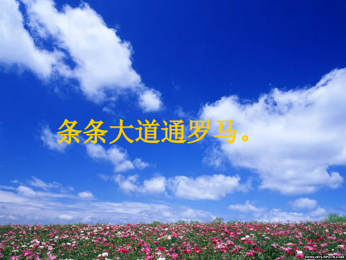 五上《通往广场的路不止一条》ppt课件22语文课件PPT