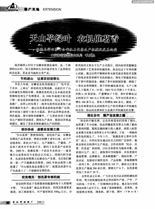 天山孕绿叶 农机催茗香——旌德县祥云茶叶合作社名优茶生产机械化发展纪实