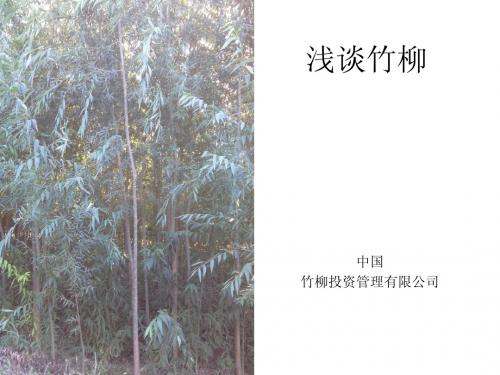 浅谈竹柳