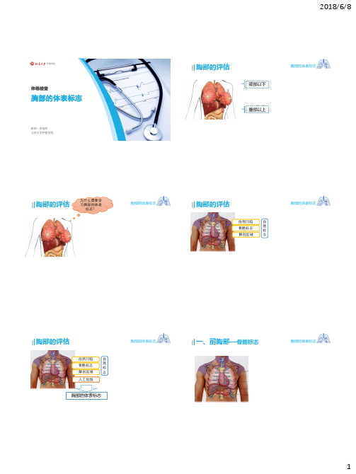 健康评估 北京大学 3  第3讲胸廓、肺脏及乳房检查 (3.1.1)  胸部体表标志ppt课件