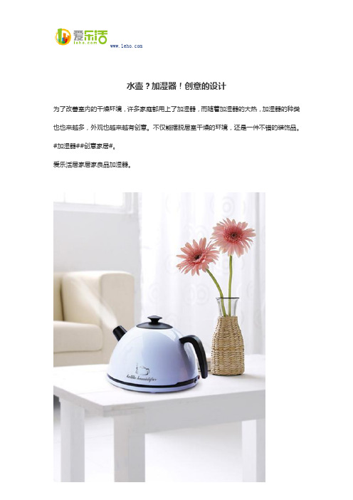 水壶？加湿器!创意的设计