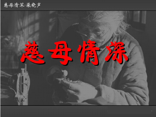 王崧舟慈母情深1ppt课件
