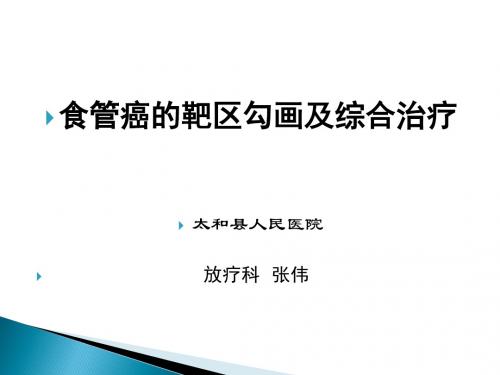 食管癌的靶区勾画及综合治疗