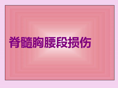 脊髓胸腰段损伤完整版ppt课件