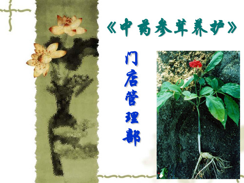 《中药、参茸管理养护法》(2009.11.20日编辑完成)解析