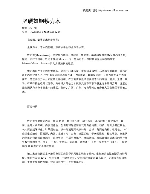 坚硬如钢铁力木