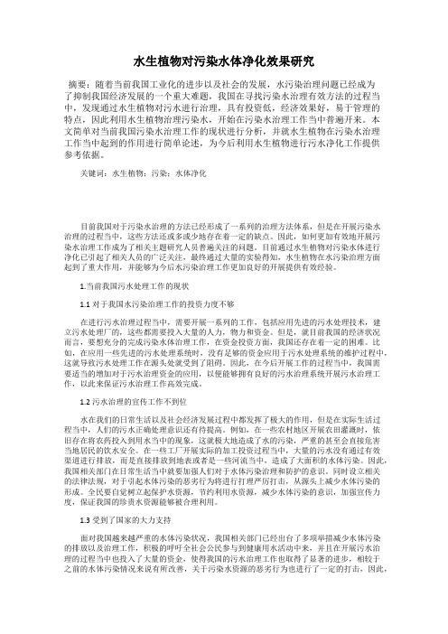 水生植物对污染水体净化效果研究