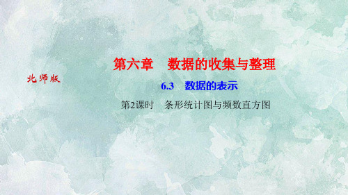 北师大版七年级上册数学习题课件：6.3 数据的表示 第2课时 条形统计图与频数直方图(共20张PPT