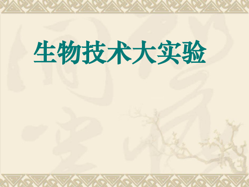 生物技术大实验课件