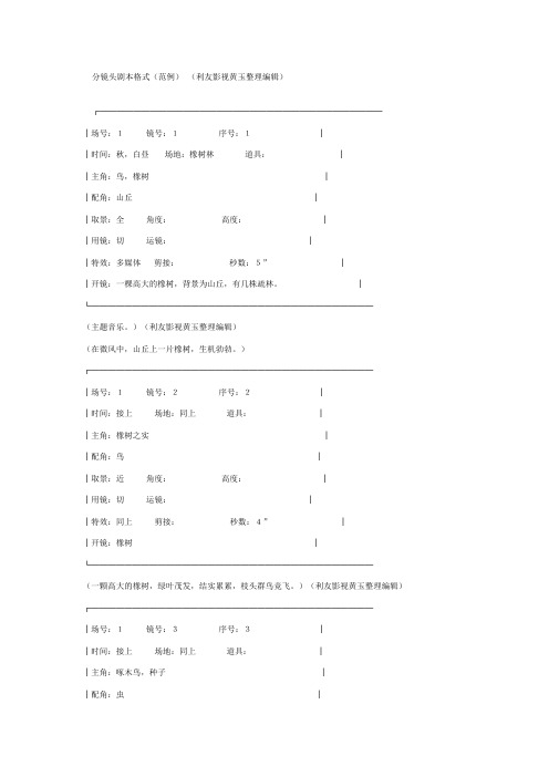 分镜头剧本格式