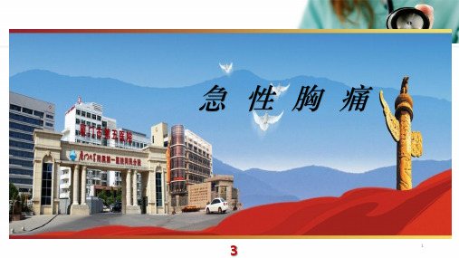 急性胸痛PPT幻灯片课件