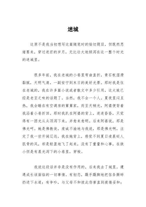 高中议论文作文：迷城