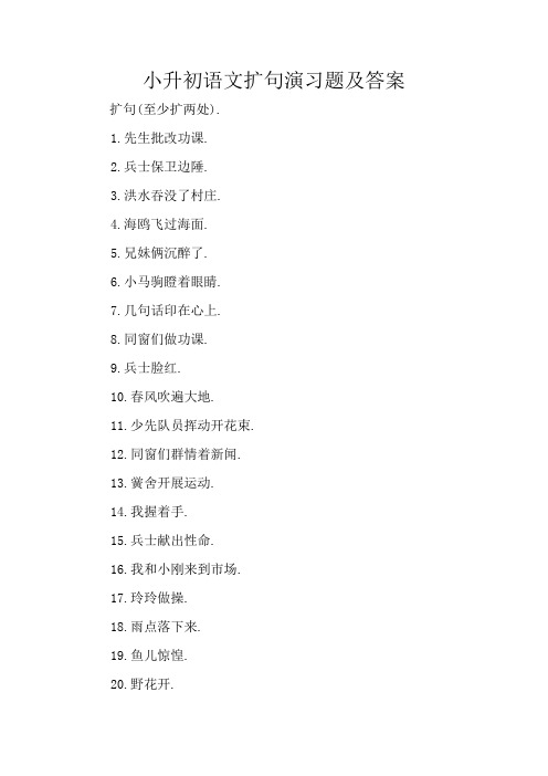 小升初语文扩句练习题及答案
