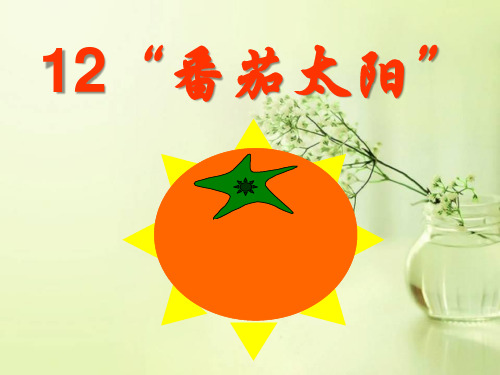12《番茄太阳》2