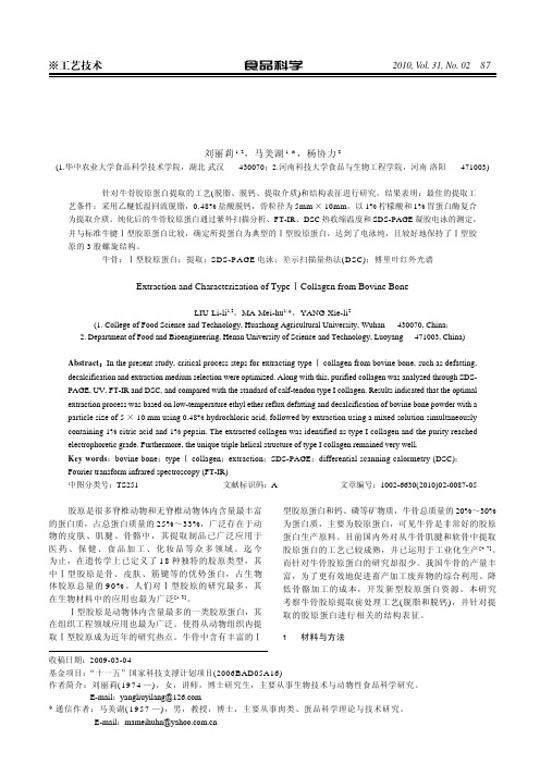 牛骨Ⅰ型胶原蛋白提取及结构表征