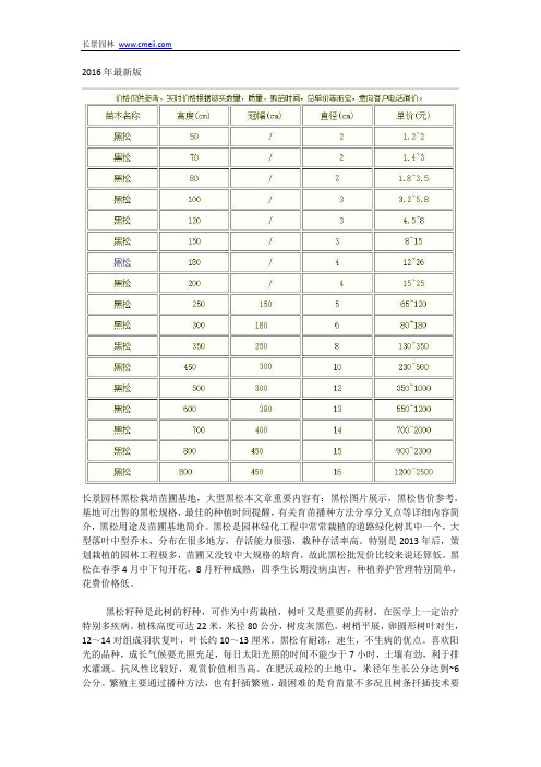 大型黑松