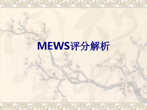 MEWS评分解析优质PPT课件