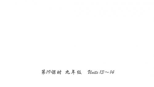 第19课时 九年级 Units 13～14
