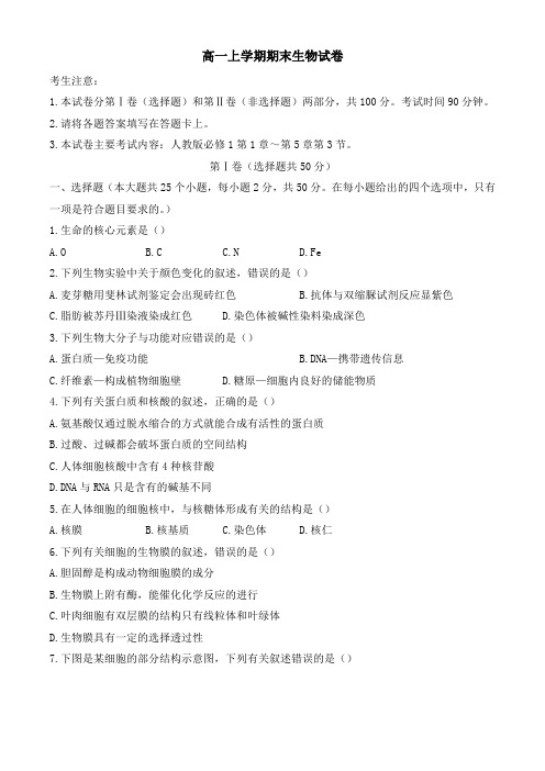 【新】2019-2020学年高一上学期期末生物试题(含答案)