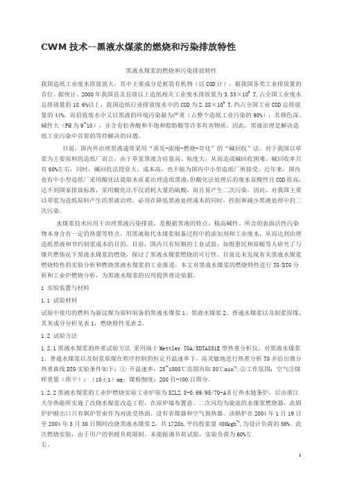 CWM技术(水煤浆技术)