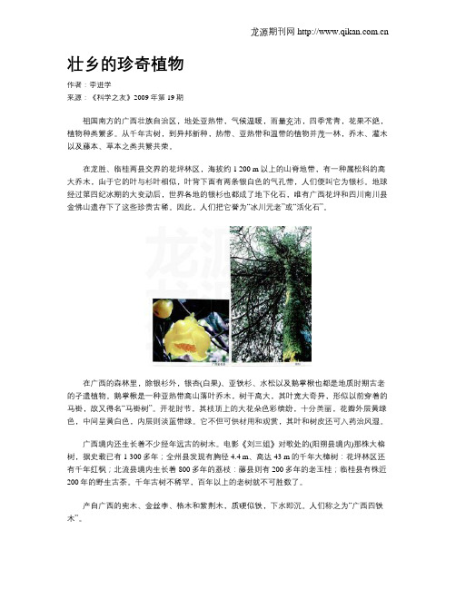 壮乡的珍奇植物