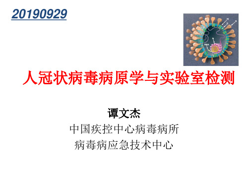 2012新冠状病毒实验室检测
