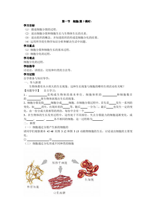 北京课改版生物-七年级上册-高效备课 《细胞》第3课时导学案