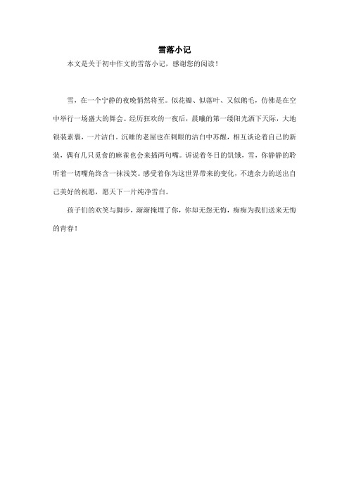 雪落小记_初中作文