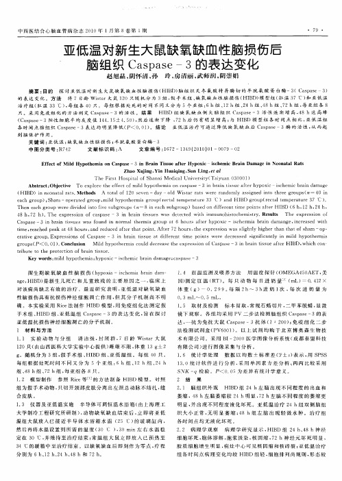 亚低温对新生大鼠缺氧缺血性脑损伤后脑组织Caspase-3的表达变化