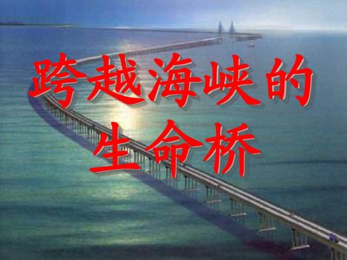 语文A版五下《跨越海峡的生命桥》课件2